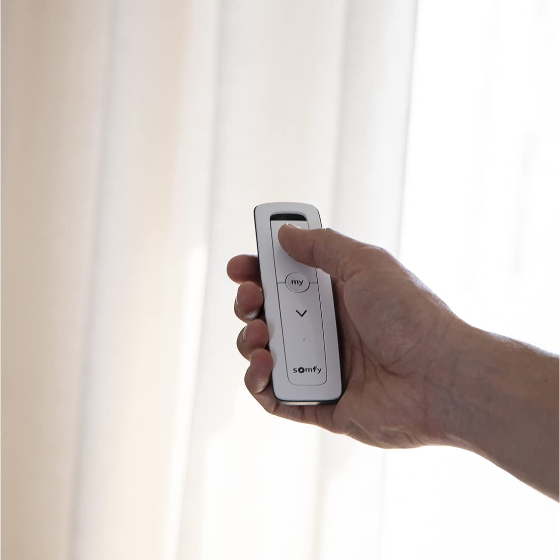 Amazon.co.jp: 【日本国内専用】Situo 1 RTS Pure 426Mhz / シチュオ1